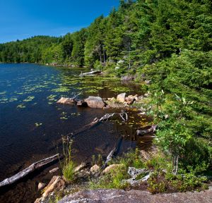 28  DA166--Lake-Solitude.jpg